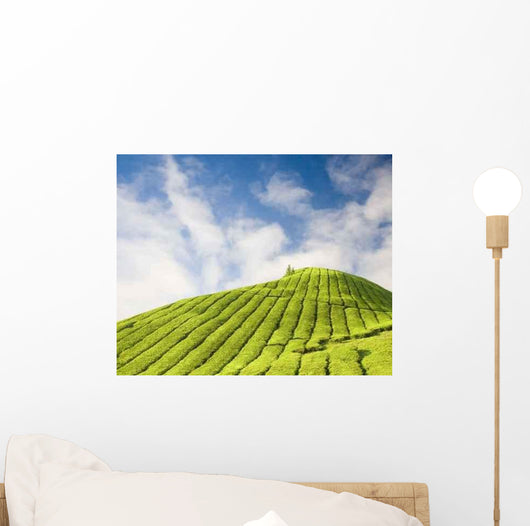 Tea Plantation Cameron Highland Wall Decal