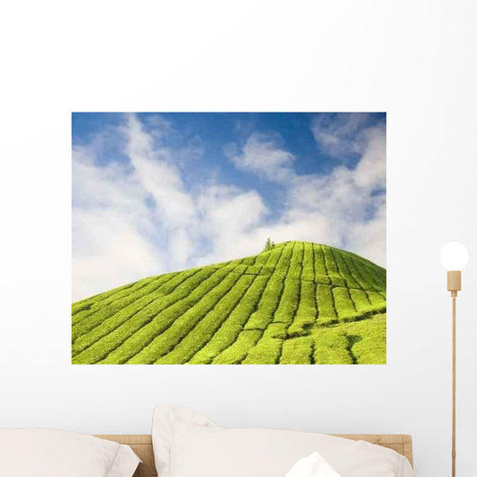 Tea Plantation Cameron Highland Wall Decal