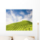 Tea Plantation Cameron Highland Wall Decal