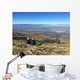 Silicon Valley from Mission Wall Decal