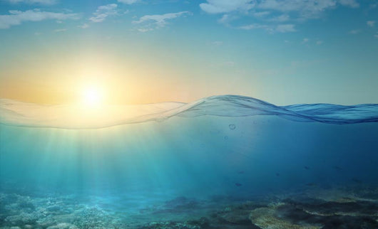Underwater background Wall Mural