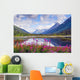 Alaska Mountain Range and Wall Decal
