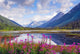 Alaska Mountain Range and Wall Decal