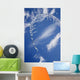Stream Water Wall Decal