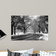 Road Central Park Wall Decal