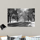 Road Central Park Wall Decal