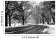 Road Central Park Wall Decal
