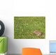 Wild Bunny Rabbit Wall Decal