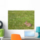 Wild Bunny Rabbit Wall Decal