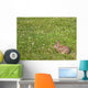 Wild Bunny Rabbit Wall Decal