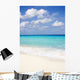 Playa Wall Decal