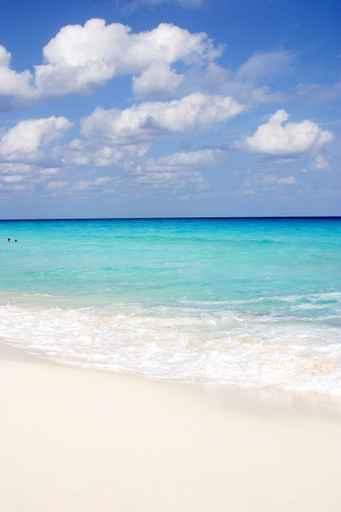 Playa Wall Decal