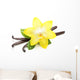Vanilla Bean Flower Wall Decal