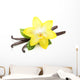 Vanilla Bean Flower Wall Decal