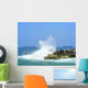 The Surf Wall Mural