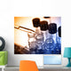 Laboratory research, dropping liquid to test tube  Wall Mural