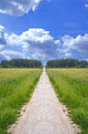 Long Way Wall Decal