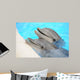 Dolphin Wall Decal