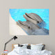Dolphin Wall Decal