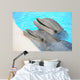 Dolphin Wall Decal
