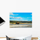 Bison Walking Geyser Yellowstone Wall Decal