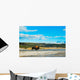 Bison Walking Geyser Yellowstone Wall Decal