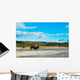 Bison Walking Geyser Yellowstone Wall Decal