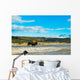 Bison Walking Geyser Yellowstone Wall Decal