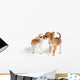 Two Puppies Chihuahua Studio Wall Decal