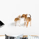 Two Puppies Chihuahua Studio Wall Decal