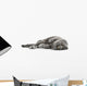 Cat Cats Kitty Wall Decal