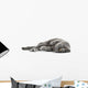 Cat Cats Kitty Wall Decal