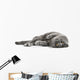 Cat Cats Kitty Wall Decal