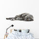 Cat Cats Kitty Wall Decal