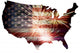 USA Fireworks Flag Wall Decal
