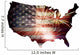 USA Fireworks Flag Wall Decal