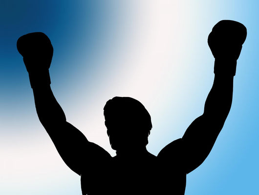Boxer Wall Decal