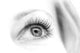 Eye Black and White Wall Decal