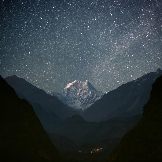Nilgiri South 6839 M Wall Decal