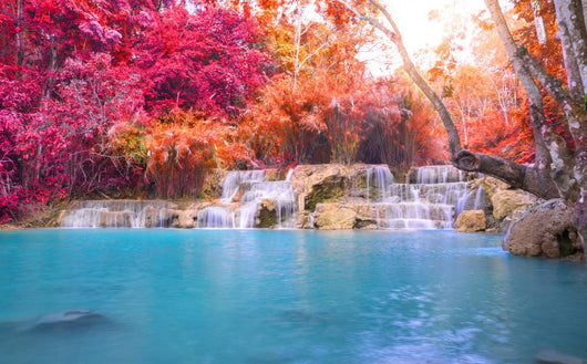 Waterfall Rain Forest Tat Wall Decal