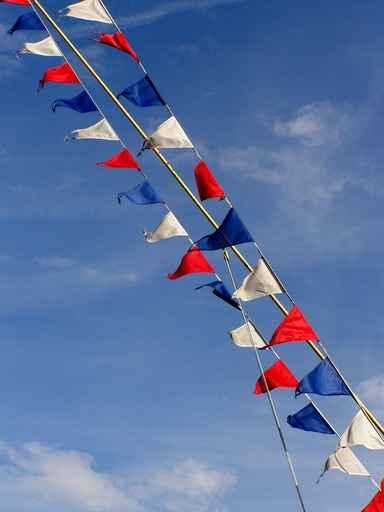 Bunting Wall Decal