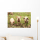 Three Piglets Wall Decal