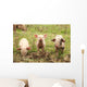 Three Piglets Wall Decal