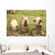 Three Piglets Wall Decal