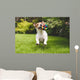 Jack Russell Running with Wall Decal