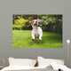 Jack Russell Running with Wall Decal