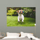 Jack Russell Running with Wall Decal