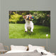 Jack Russell Running with Wall Decal