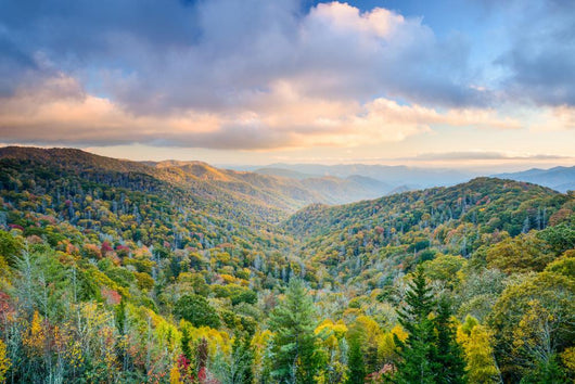 Smoky Mountains Autumn Wall Decal