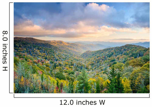 Smoky Mountains Autumn Wall Decal